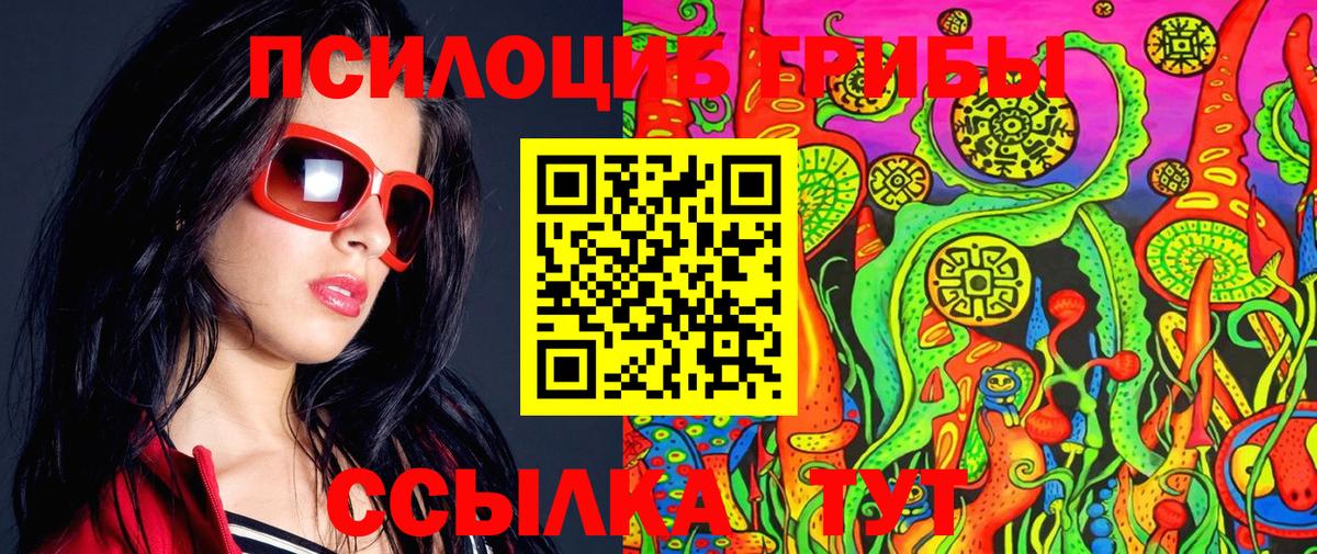 Калуга  магазин    Вход с VPN  Галлюциногенные грибы прущие грибы  Галлюциногенные грибы Cubensis 