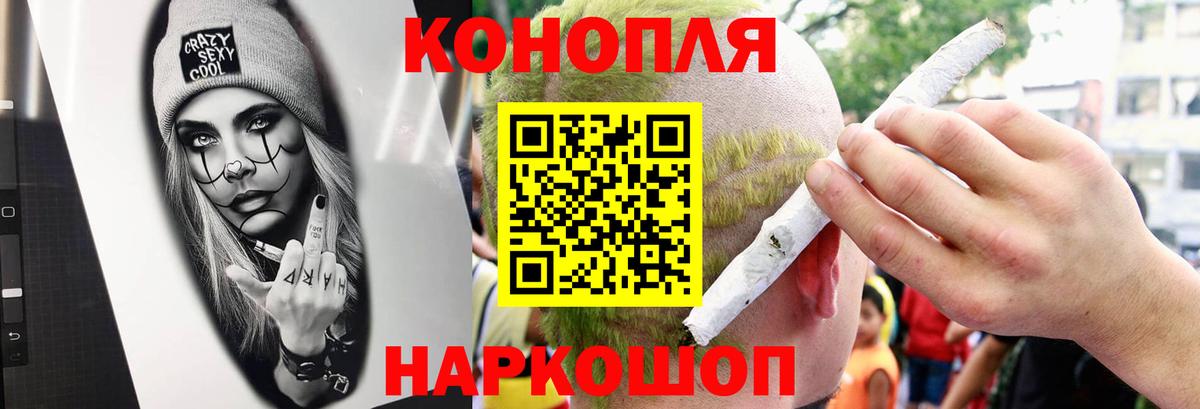 Марихуана сатива Калуга